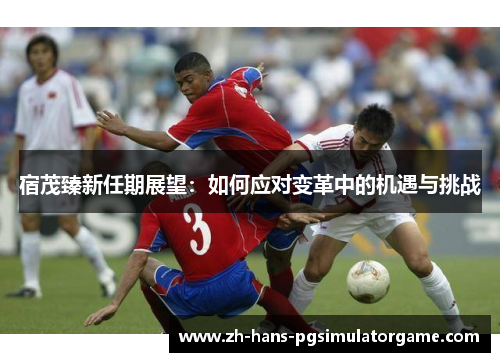 宿茂臻新任期展望：如何应对变革中的机遇与挑战