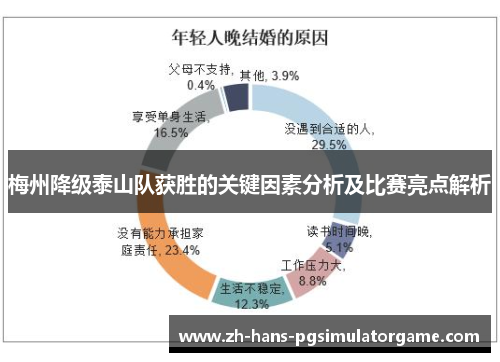 梅州降级泰山队获胜的关键因素分析及比赛亮点解析
