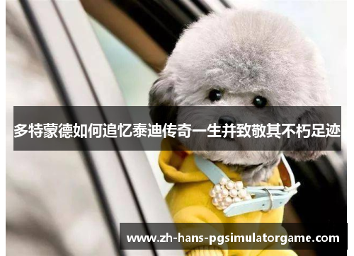 多特蒙德如何追忆泰迪传奇一生并致敬其不朽足迹
