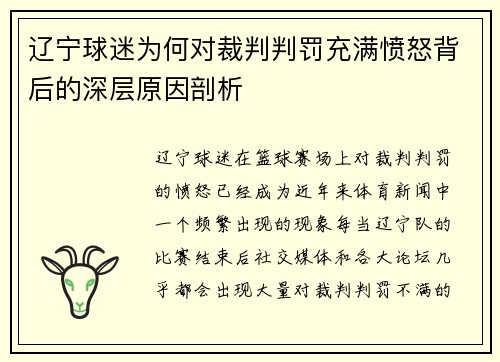 辽宁球迷为何对裁判判罚充满愤怒背后的深层原因剖析