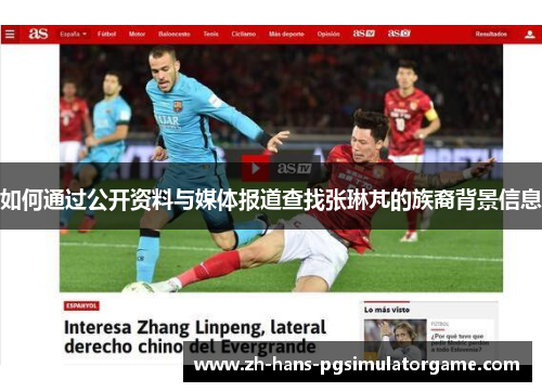 如何通过公开资料与媒体报道查找张琳芃的族裔背景信息