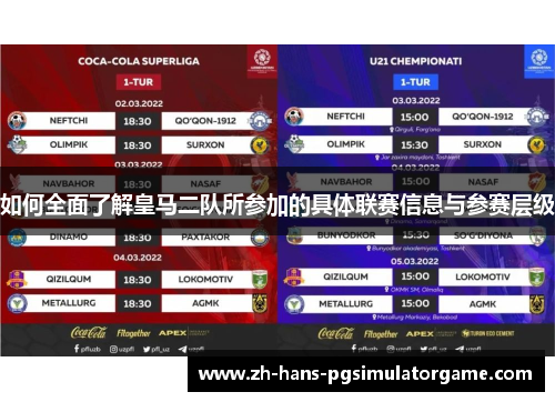 如何全面了解皇马二队所参加的具体联赛信息与参赛层级