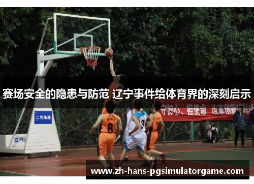 赛场安全的隐患与防范 辽宁事件给体育界的深刻启示