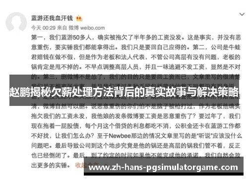 赵鹏揭秘欠薪处理方法背后的真实故事与解决策略