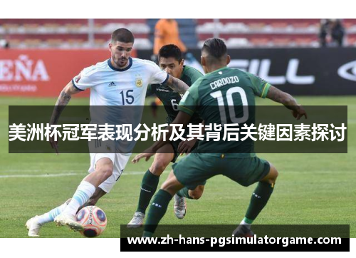 美洲杯冠军表现分析及其背后关键因素探讨